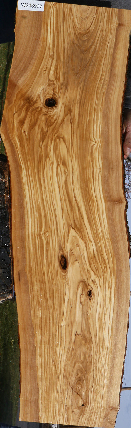 Extra Fancy Italian Olive Live Edge Lumber