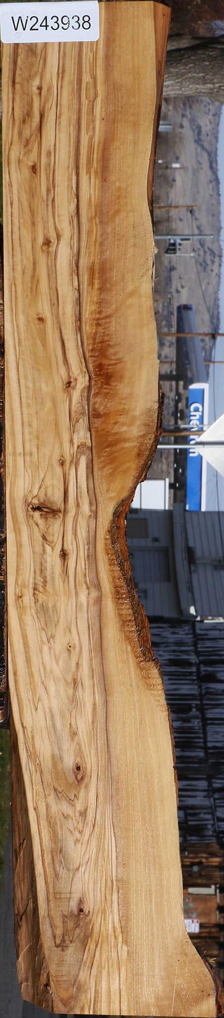 Extra Fancy Italian Olive Live Edge Lumber