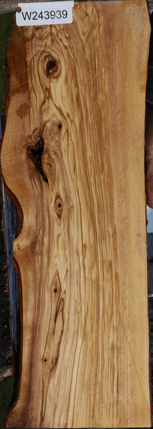 Figured Italian Olive Live Edge Lumber