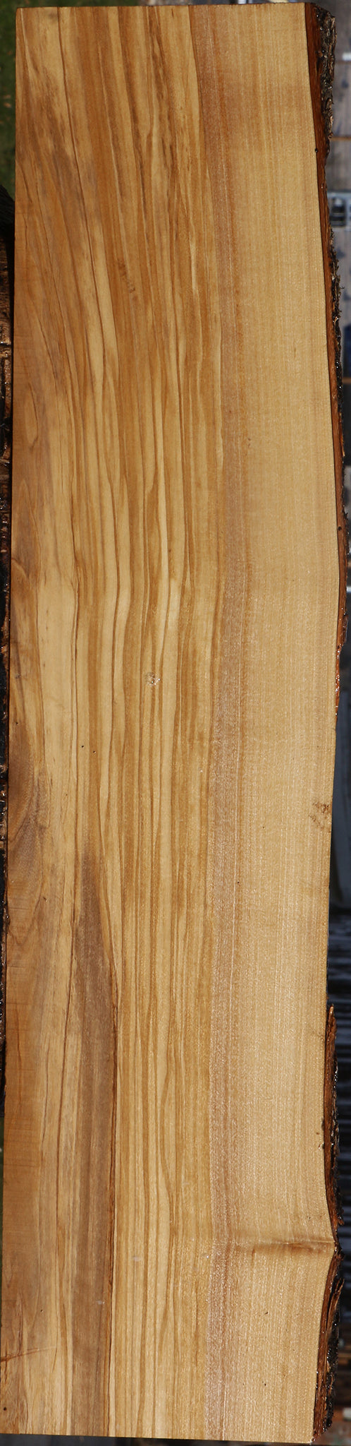 Extra Fancy Italian Olive Live Edge Lumber