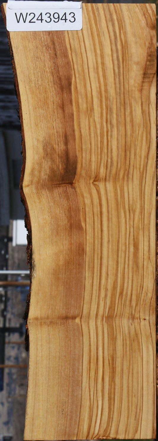 Figured Italian Olive Live Edge Micro Lumber