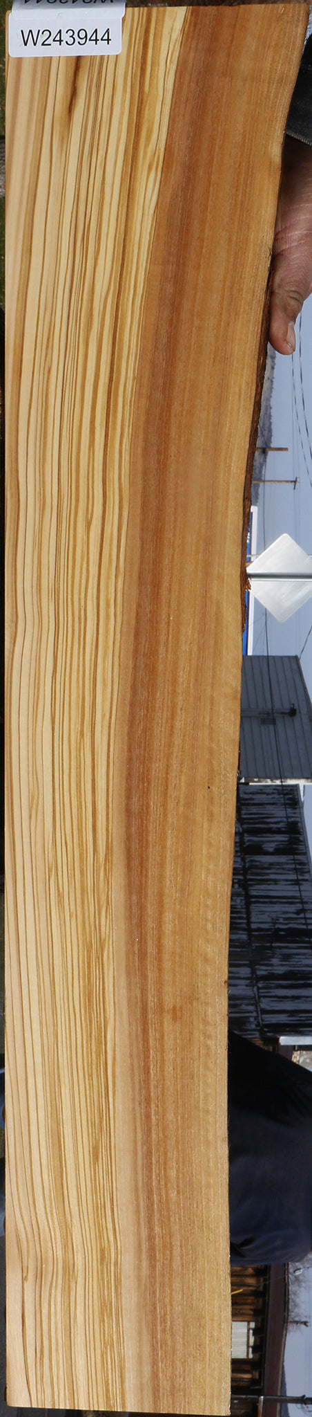 Figured Italian Olive Live Edge Lumber