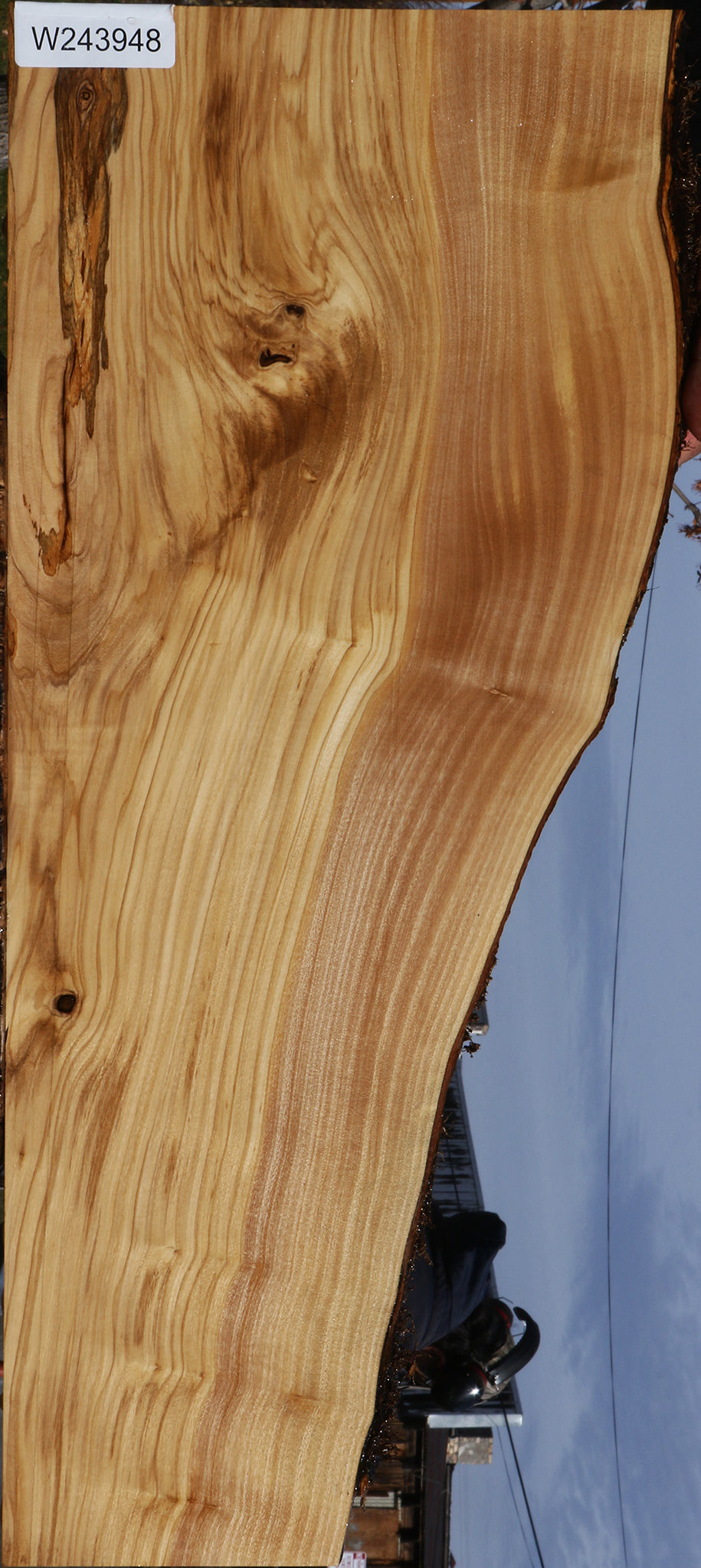 Italian Olive Live Edge Lumber