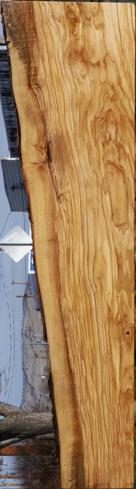 Extra Fancy Italian Olive Live Edge Lumber