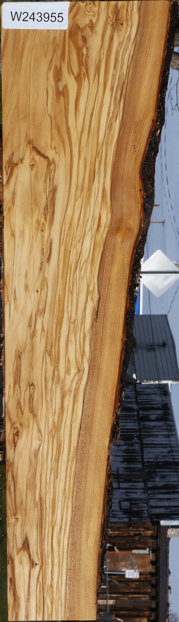 Extra Fancy Italian Olive Live Edge Lumber
