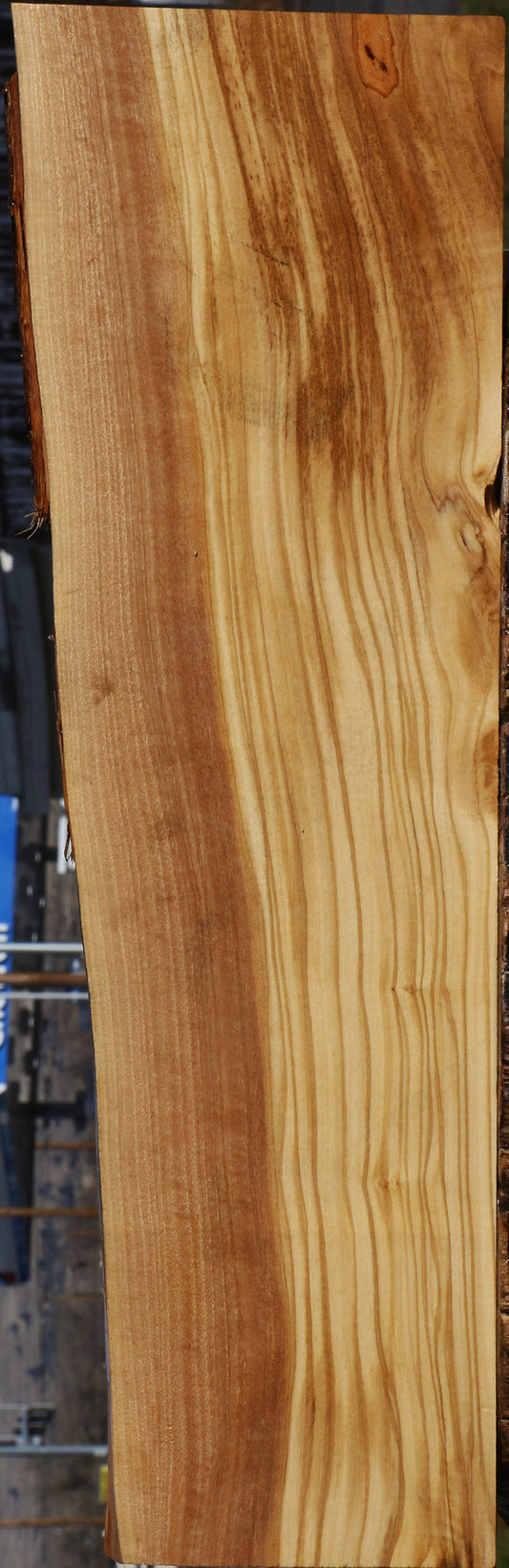 Italian Olive Live Edge Lumber