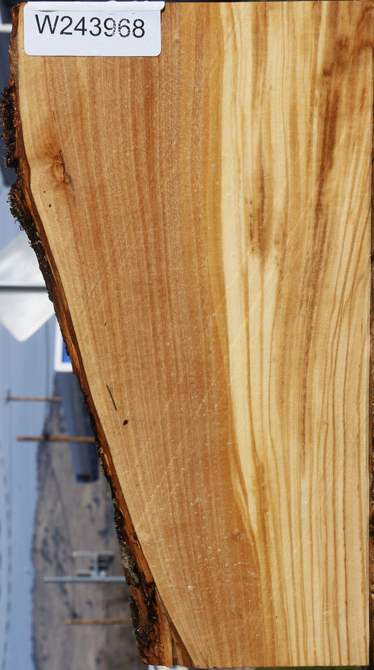 Italian Olive Live Edge Micro Lumber