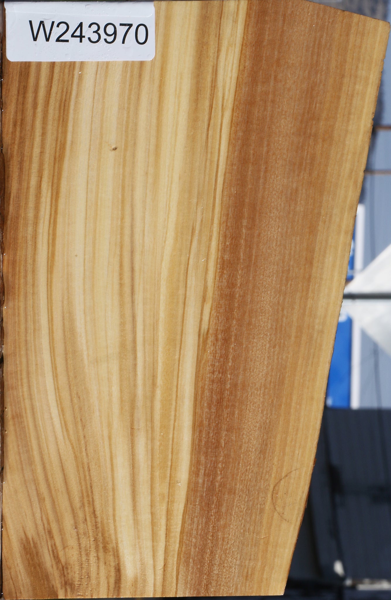 Italian Olive Live Edge Lumber