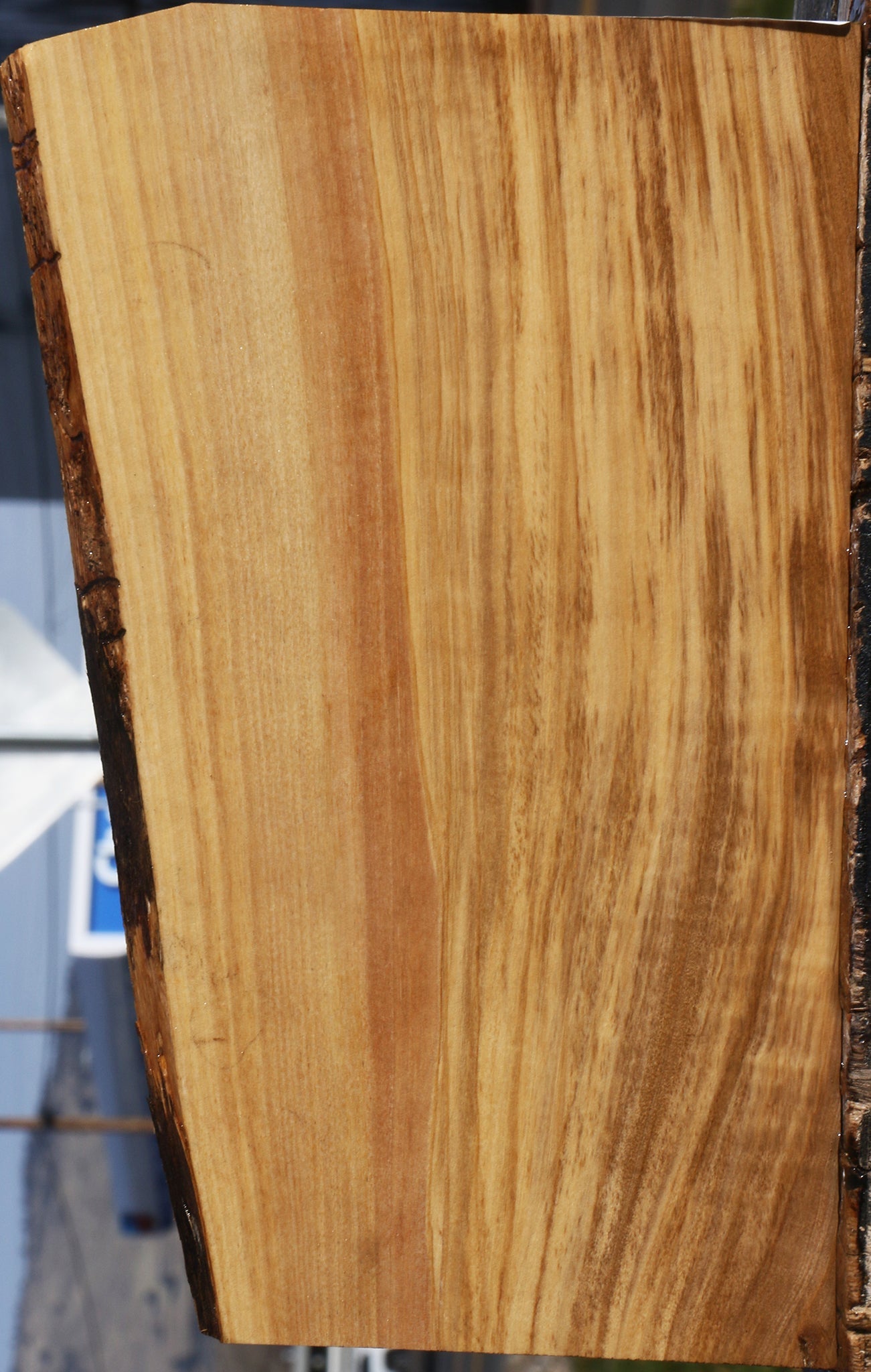 Italian Olive Live Edge Lumber