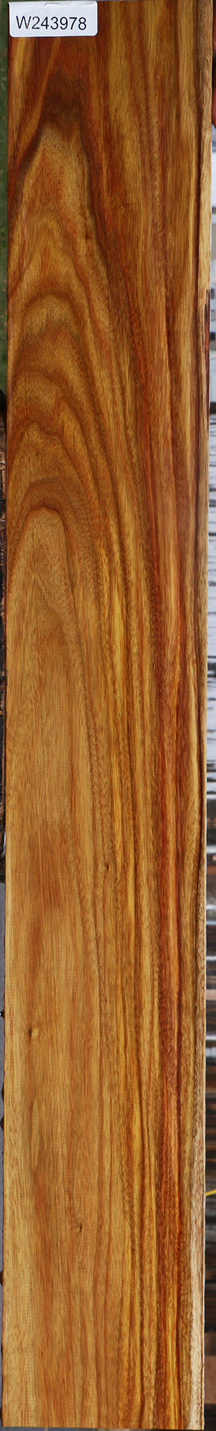 Canary Lumber