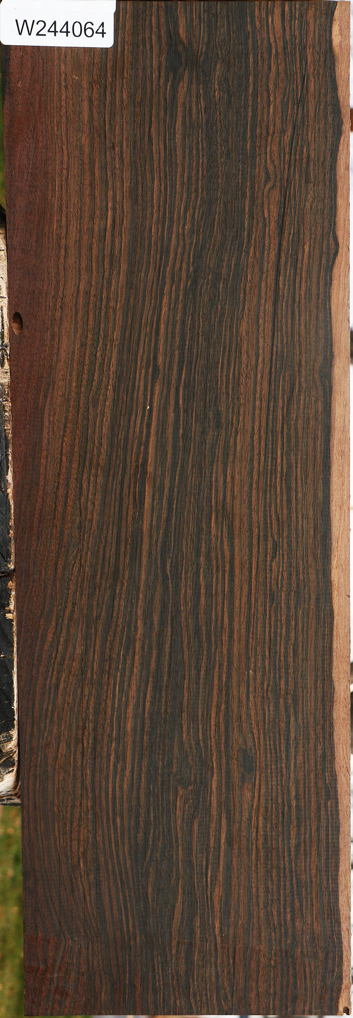 Figured Mun Ebony Lumber