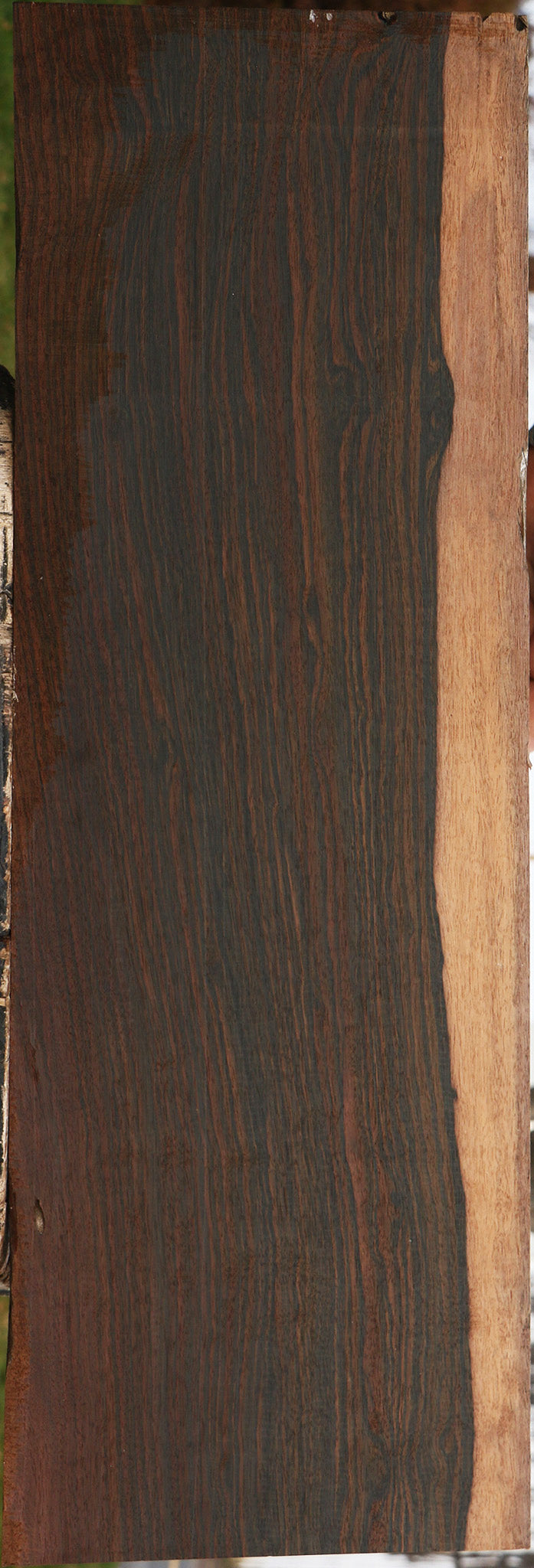 Figured Mun Ebony Lumber