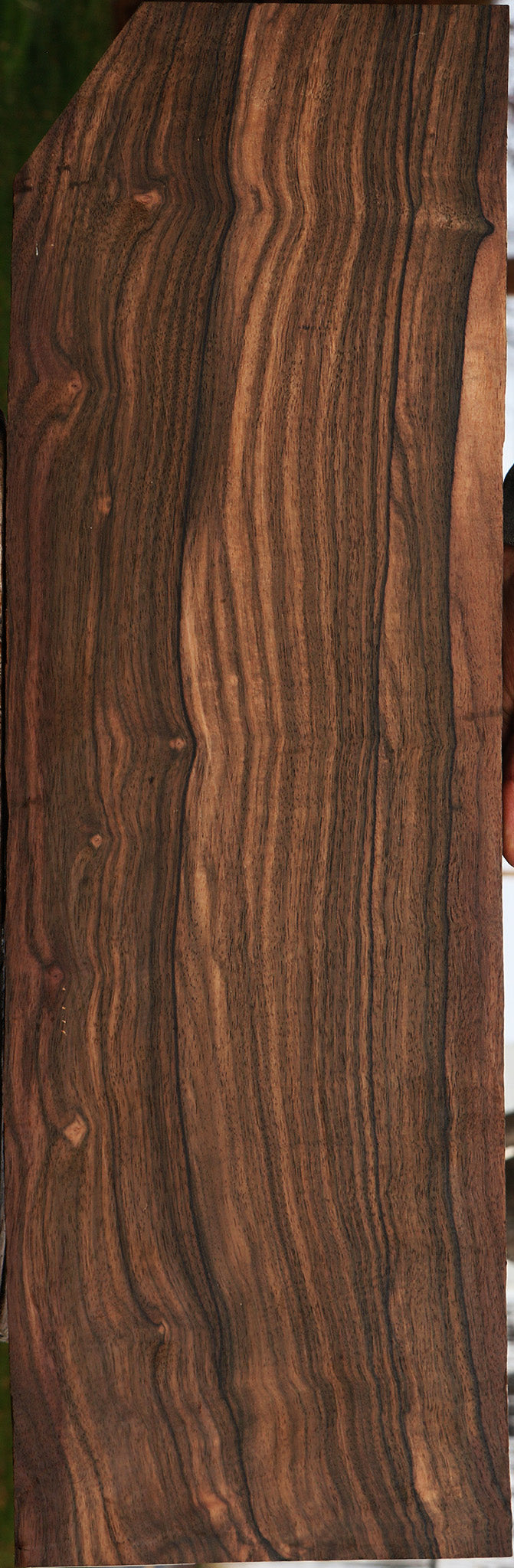 Extra Fancy Mun Ebony Lumber