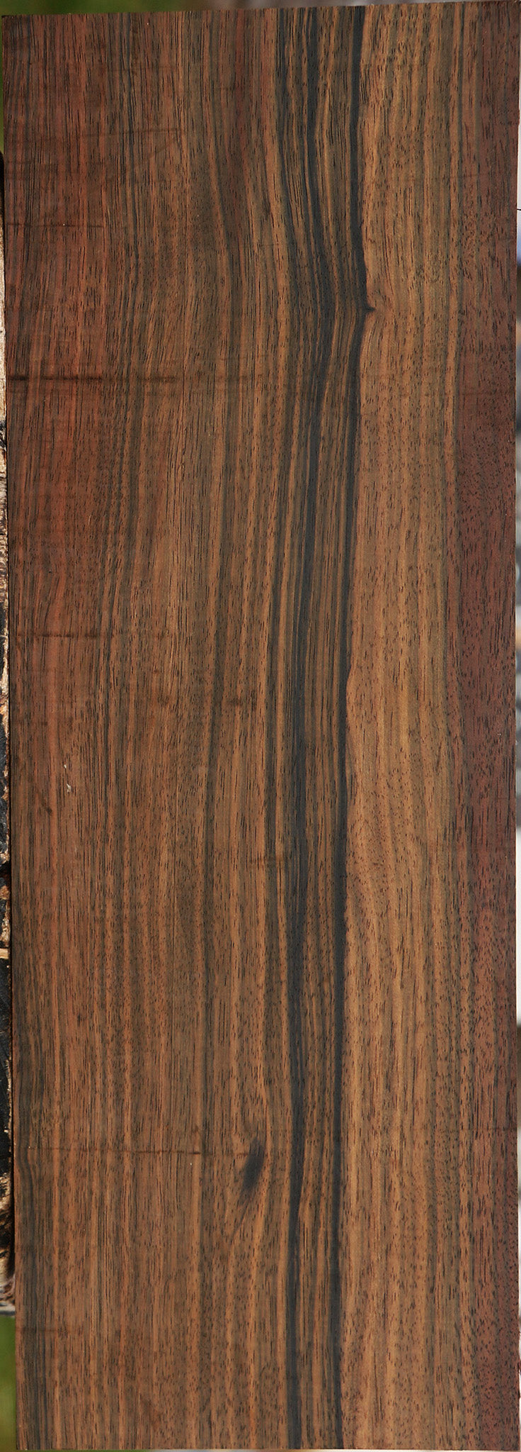 Extra Fancy Mun Ebony Lumber