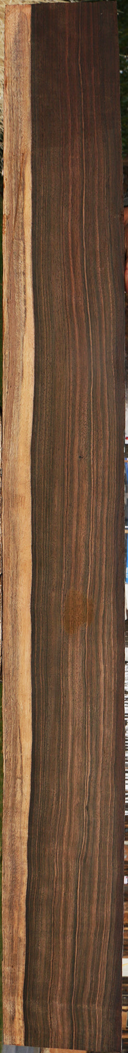 Extra Fancy Mun Ebony Lumber
