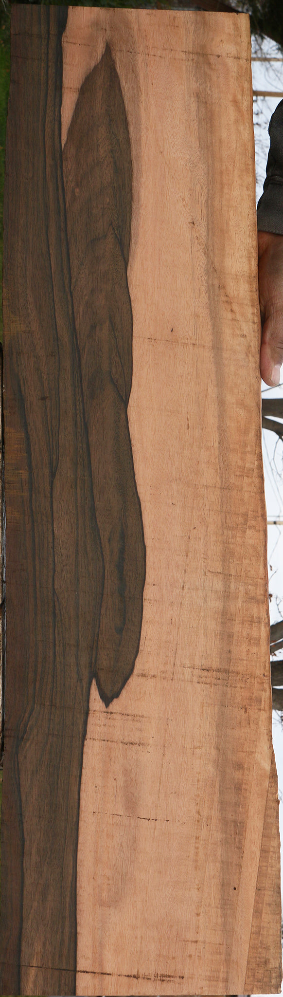 Extra Fancy Mun Ebony Live Edge Lumber