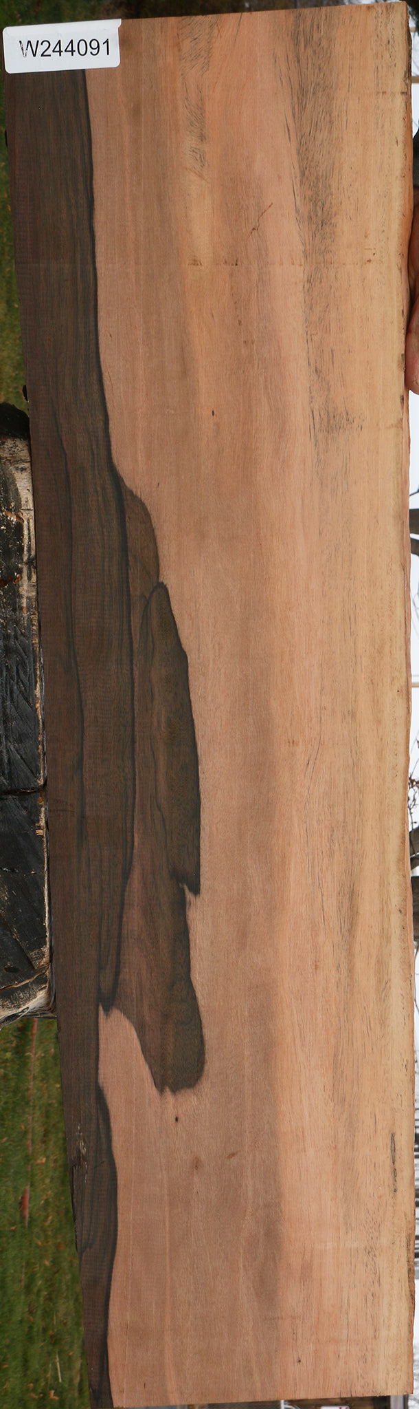 Extra Fancy Mun Ebony Live Edge Lumber
