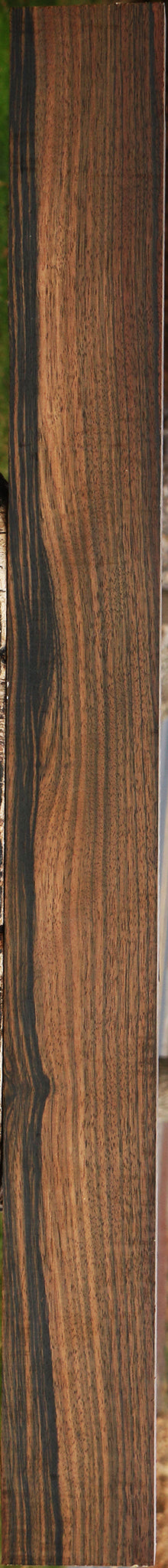 Figured Mun Ebony Lumber