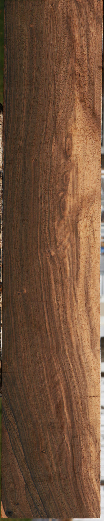 Extra Fancy Mun Ebony Lumber