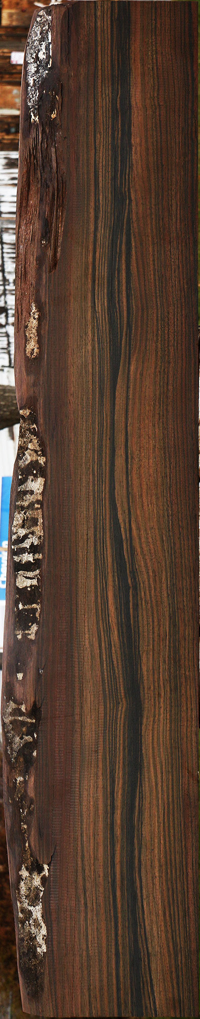 Extra Fancy Mun Ebony Live Edge Lumber