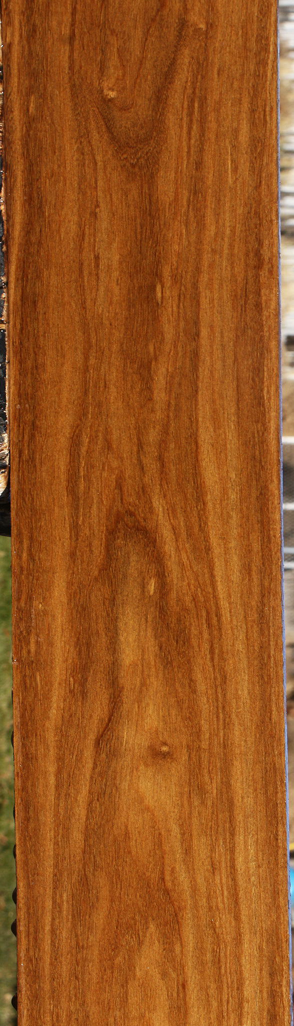 Bolivian Ebony Lumber