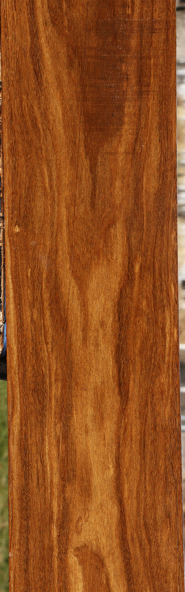Bolivian Ebony Lumber