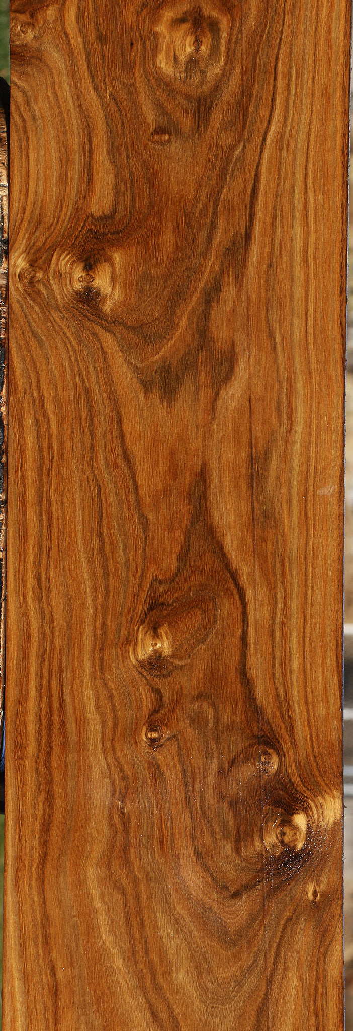 Extra Fancy Bolivian Ebony Lumber