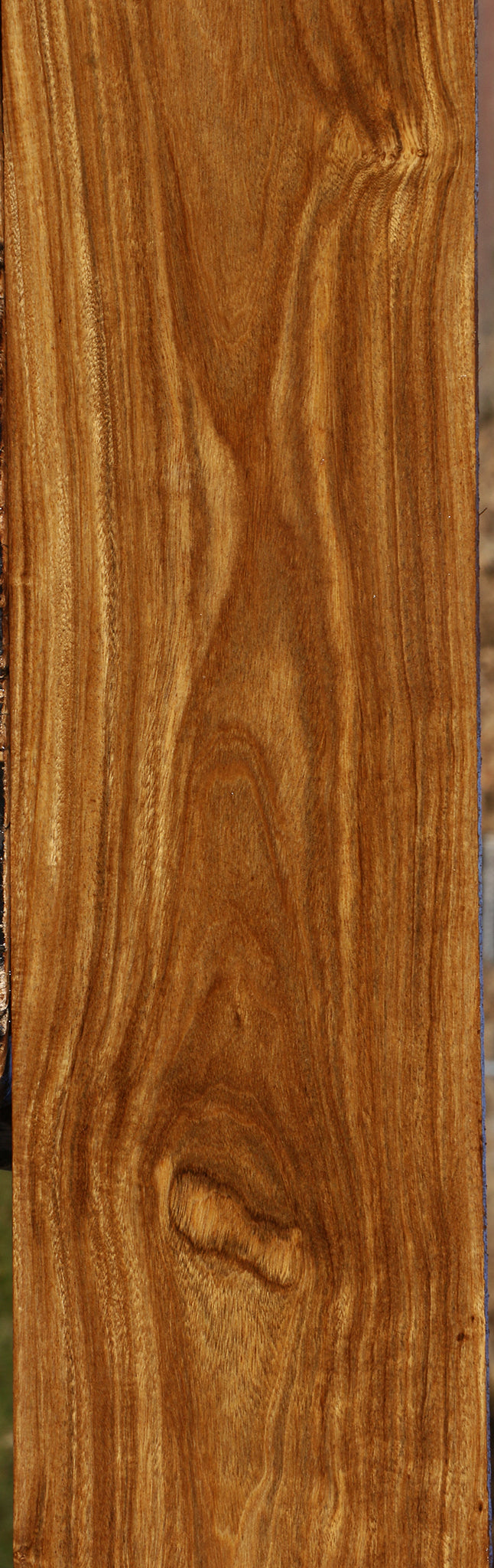 Bolivian Ebony Lumber