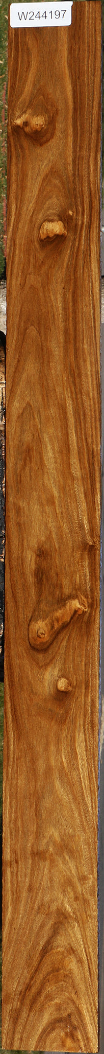 Bolivian Ebony Lumber