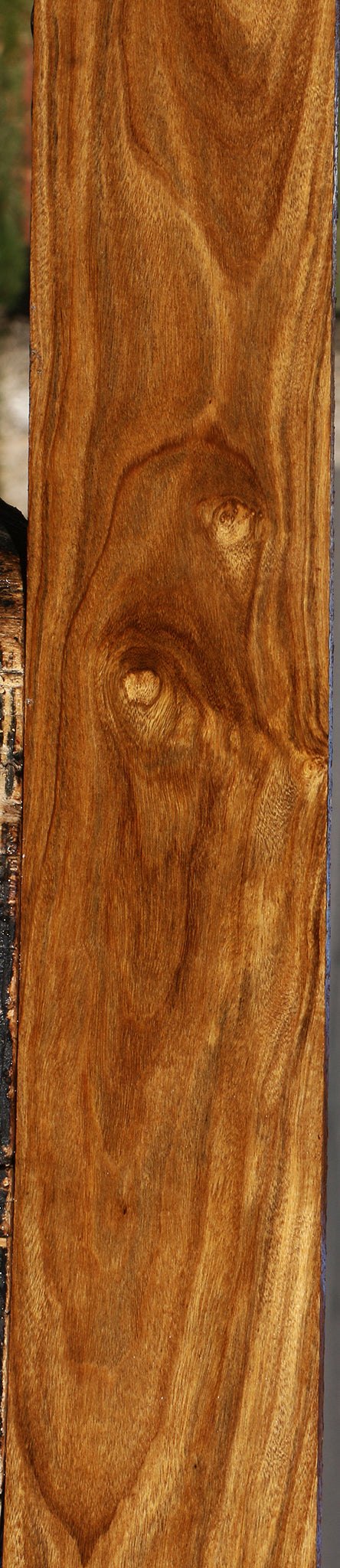 Bolivian Ebony Lumber