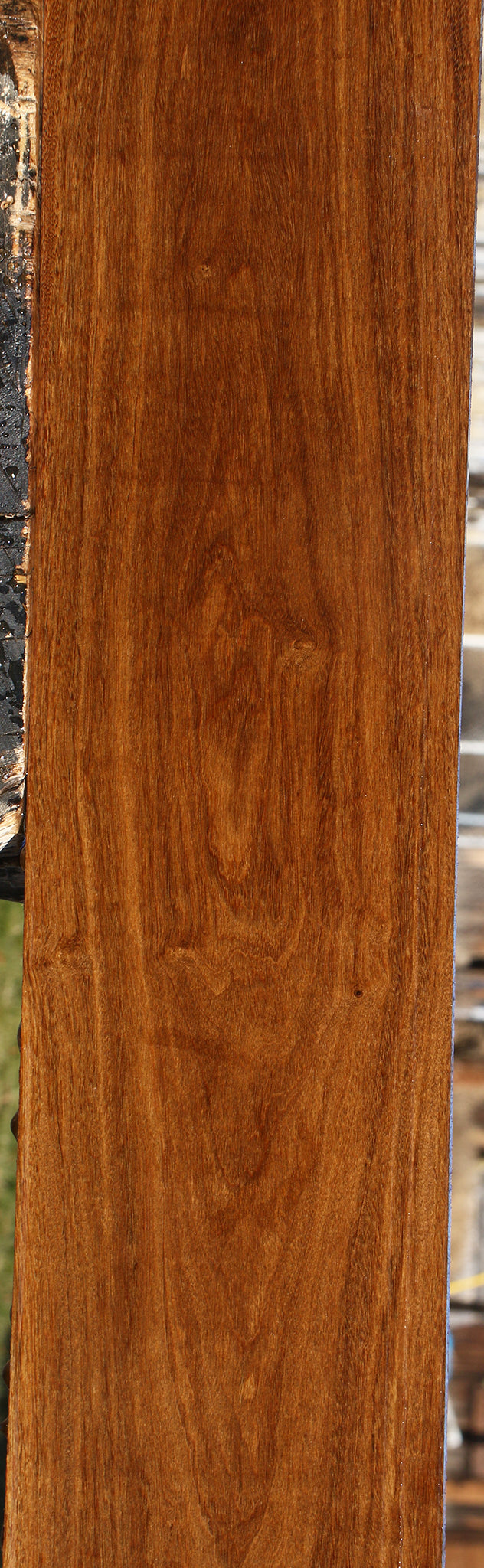 Bolivian Ebony Lumber