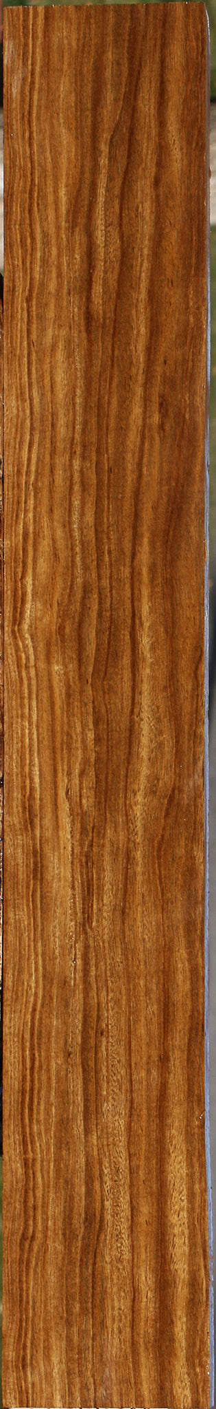 Bolivian Ebony Lumber