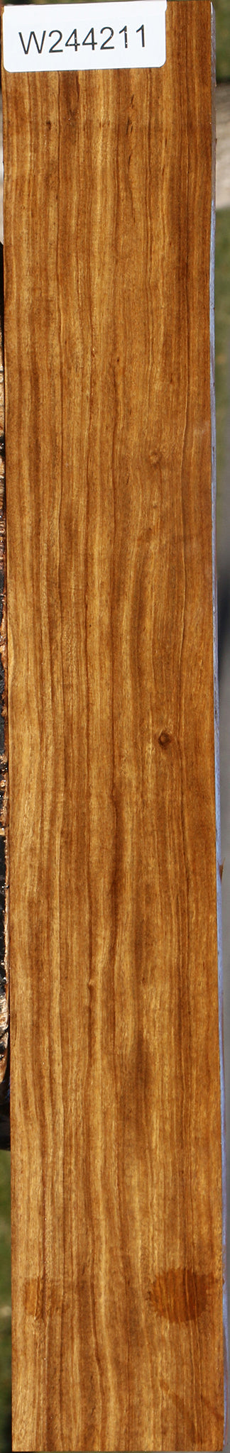 Bolivian Ebony Lumber