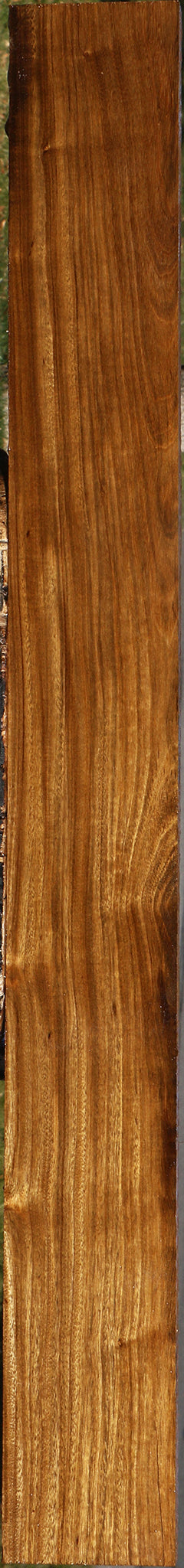 Figured Bolivian Ebony Lumber