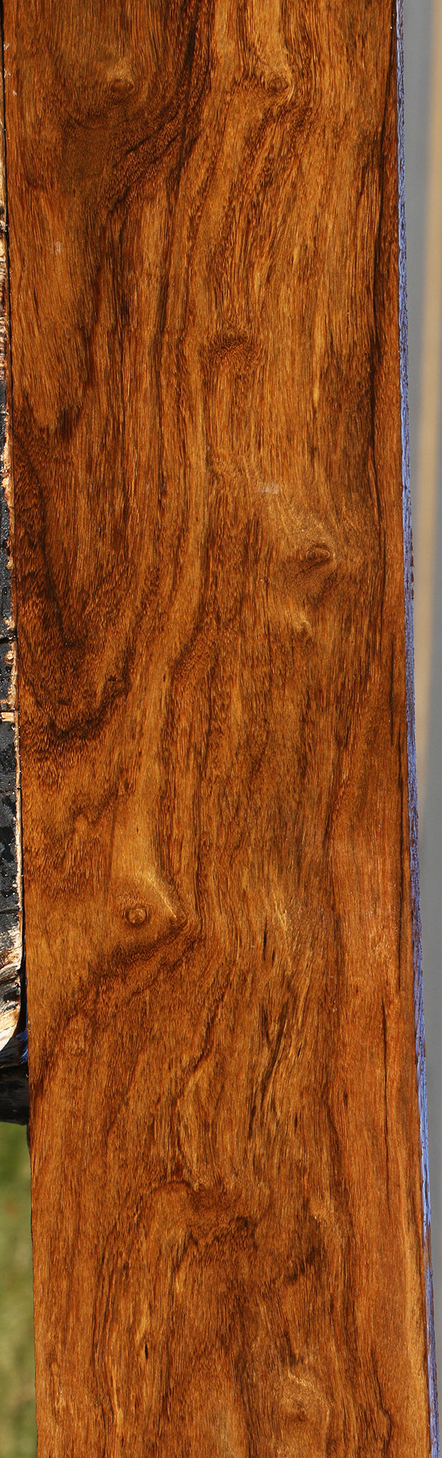 Extra Fancy Bolivian Ebony Lumber