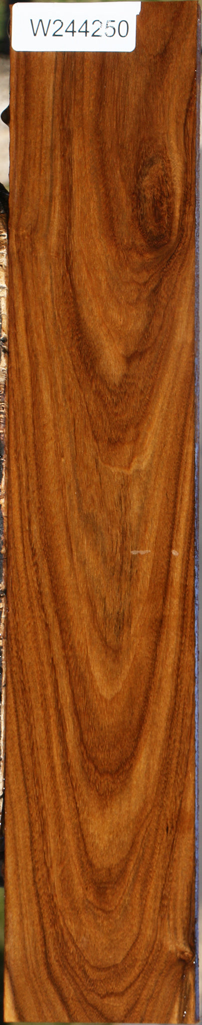 Bolivian Ebony Lumber