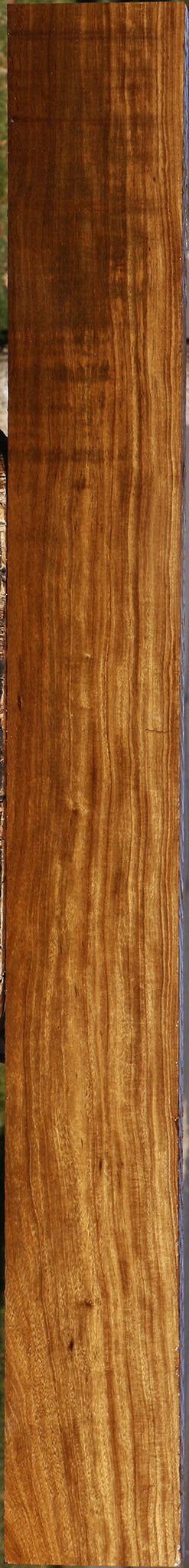 Extra Fancy Bolivian Ebony Lumber