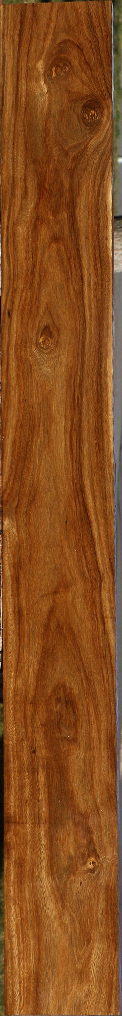 Bolivian Ebony Lumber