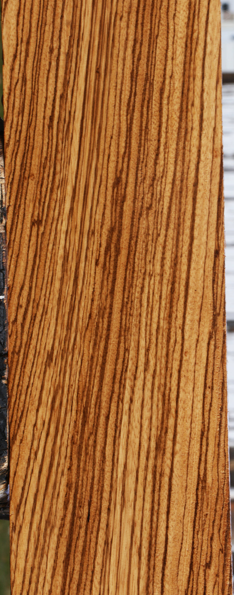 Zebrawood Micro Lumber