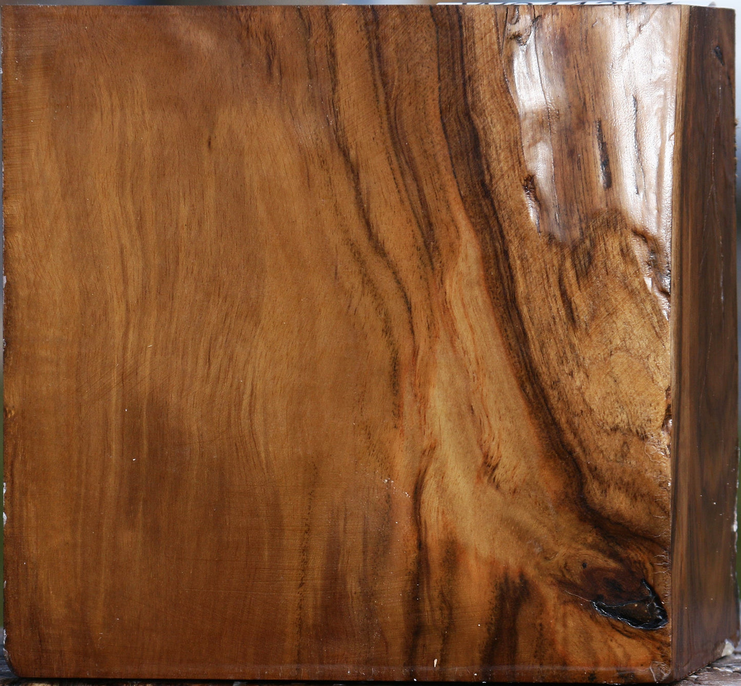 Figured Teak Bowl Blank