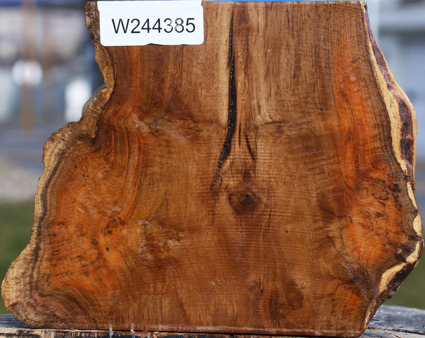 Teak Burl Live Edge Turning Blank