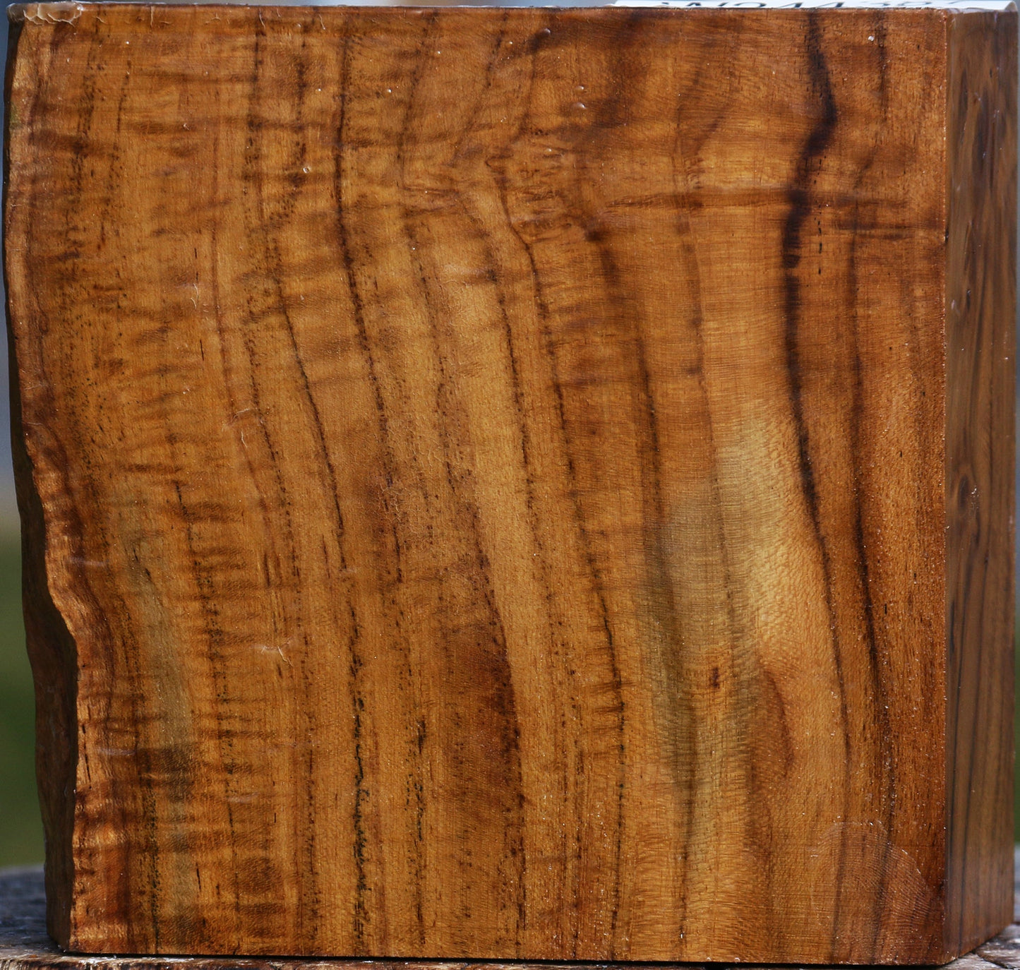 Teak Bowl Blank