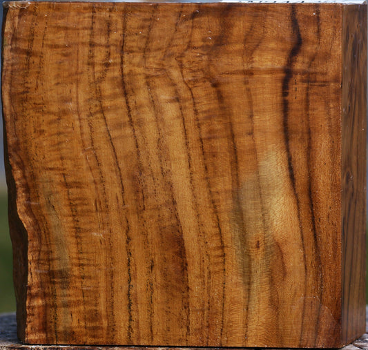 Teak Bowl Blank