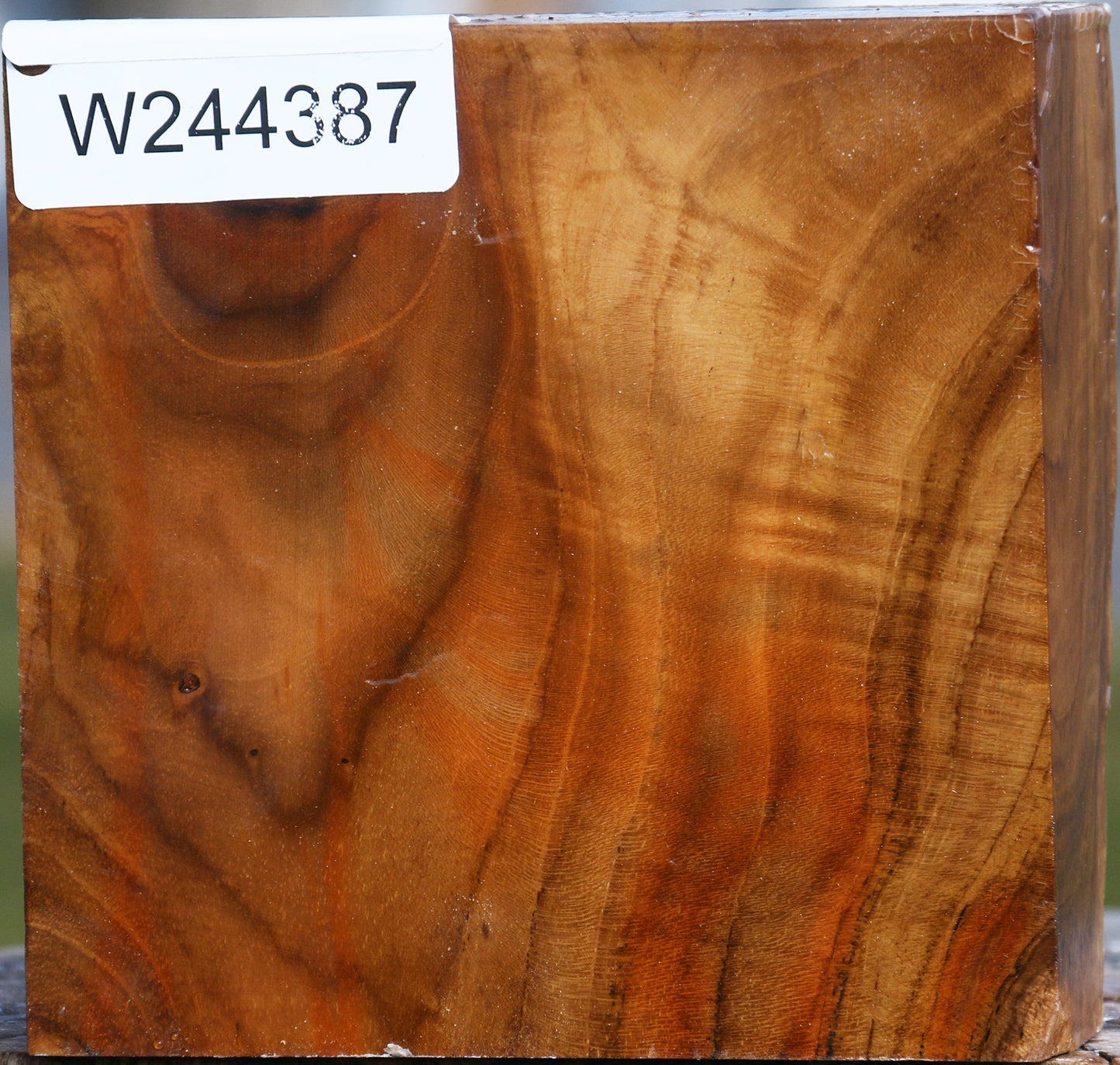 Teak Bowl Blank
