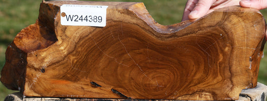 Figured Teak Live Edge Turning Blank