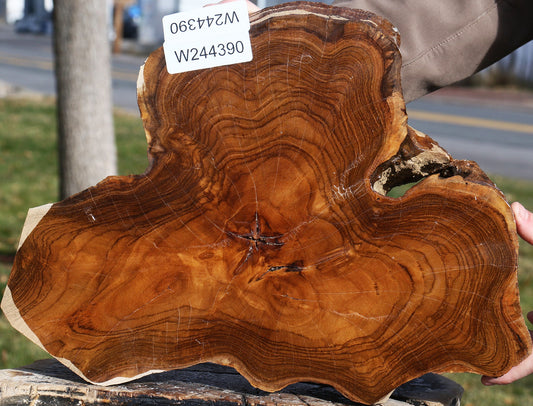 Teak Live Edge Turning Blank