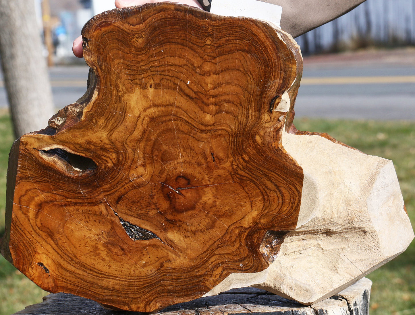 Teak Live Edge Turning Blank