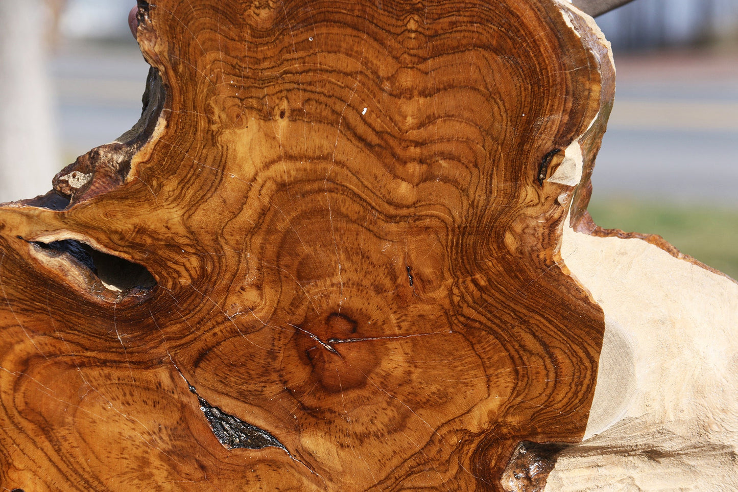 Teak Live Edge Turning Blank