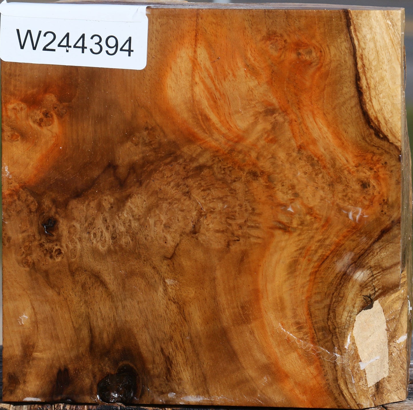 Teak Burl Live Edge Bowl Blank