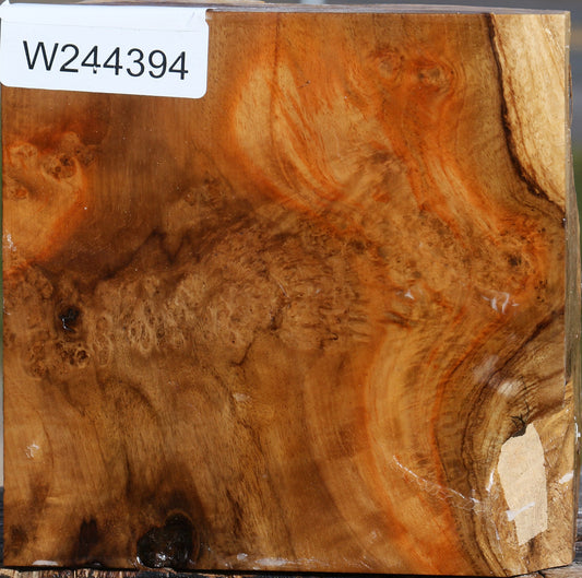 Teak Burl Live Edge Bowl Blank